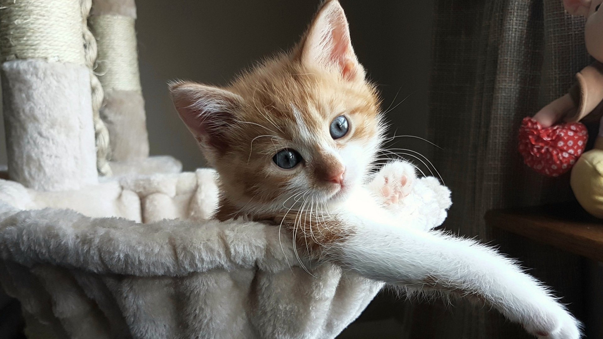 kaiyun官方入口登录-_新兴盛事：社区举办的小型街头网球赛_，网球进社区策划方案