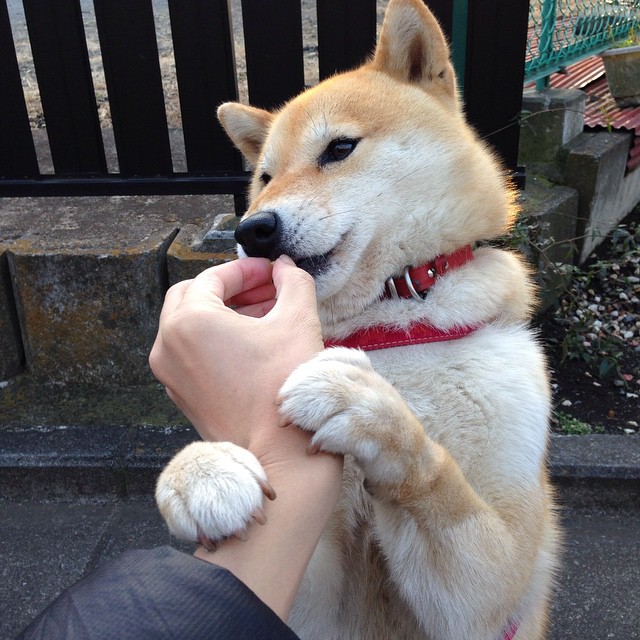 开yun体育-_环保滑板：绿色出行的时尚选择_，环保板图片