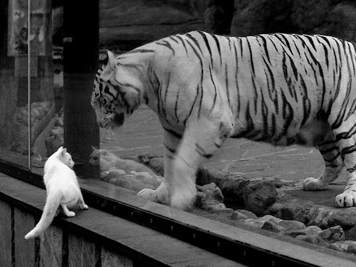 开云体育官网下载安装-《Hope：新生代枪手崛起，刷新战斗纪录》，新生代枪男