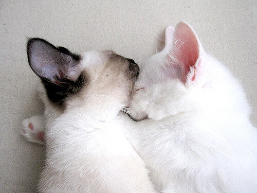 开云真人娱乐官网-星光水上越野漂移，夜色中的极速角逐，水下星光灯