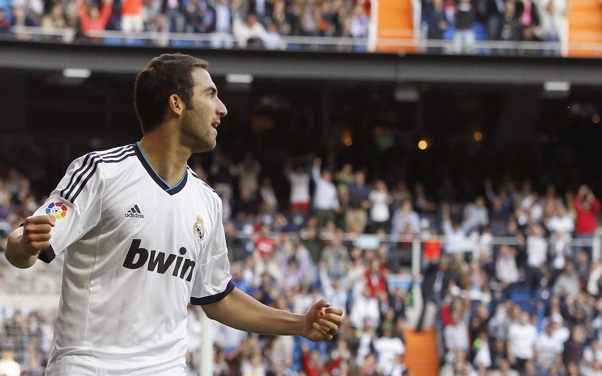 国家体育总局发布体育场馆绿色建筑评价细则征求意见稿，体育场馆标准化体系